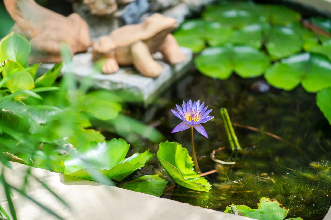 Rummana Boutique Resort - Sha Plus Lamai Exteriér fotografie
